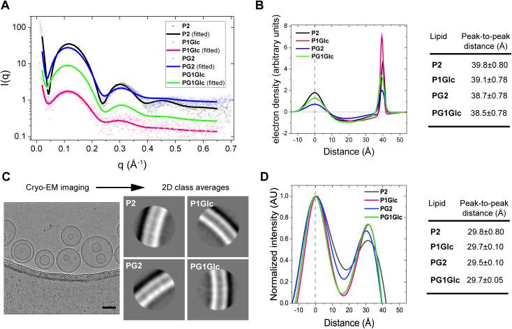 https://cdn.ncbi.nlm.nih.gov/pmc/blobs/eca8/11389474/de970608e4a9/d4sc03788j-f5.jpg