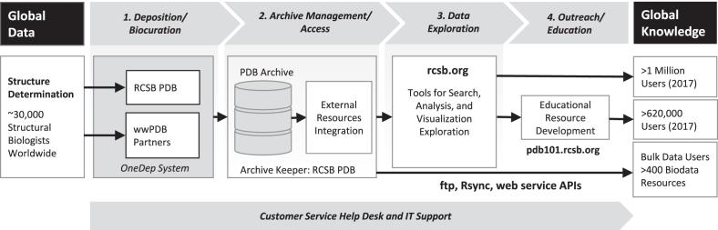 https://cdn.ncbi.nlm.nih.gov/pmc/blobs/ecaa/6324064/569f70ed036e/gky1004fig1.jpg