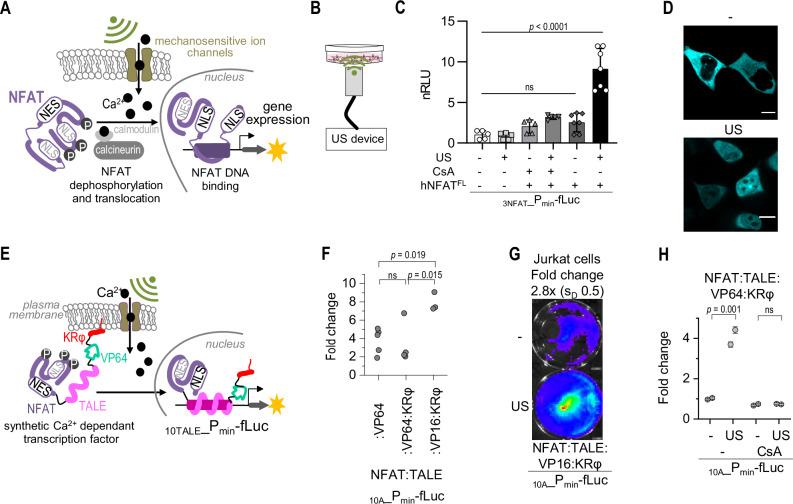 https://cdn.ncbi.nlm.nih.gov/pmc/blobs/ecab/11349879/1ab4e5cb55ba/41467_2024_51620_Fig2_HTML.jpg