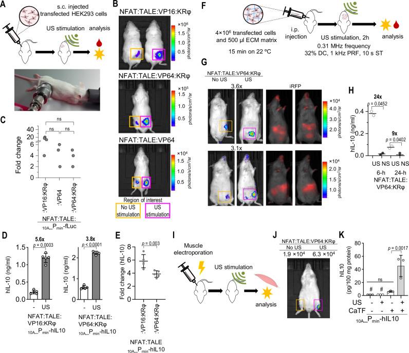 https://cdn.ncbi.nlm.nih.gov/pmc/blobs/ecab/11349879/20822813ff54/41467_2024_51620_Fig3_HTML.jpg