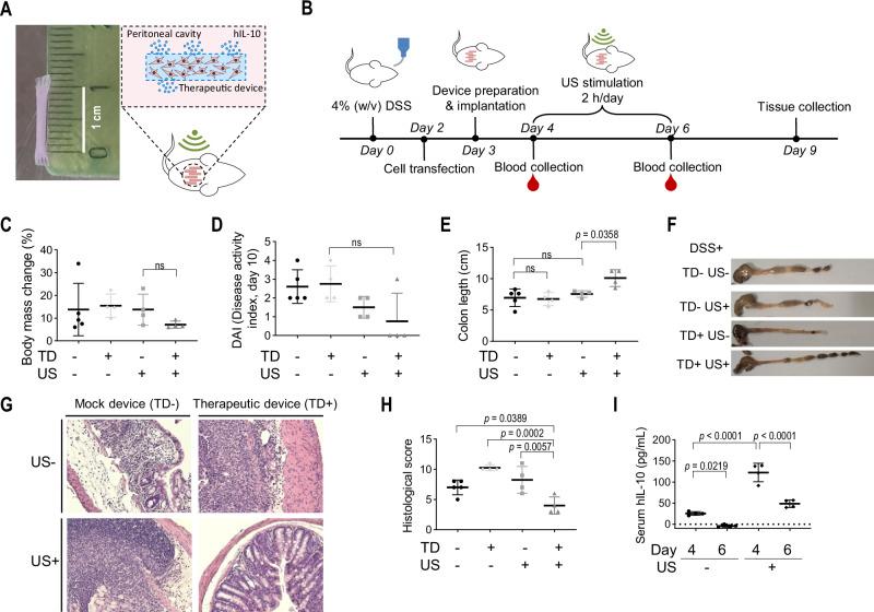 https://cdn.ncbi.nlm.nih.gov/pmc/blobs/ecab/11349879/d070a6bdadb0/41467_2024_51620_Fig4_HTML.jpg