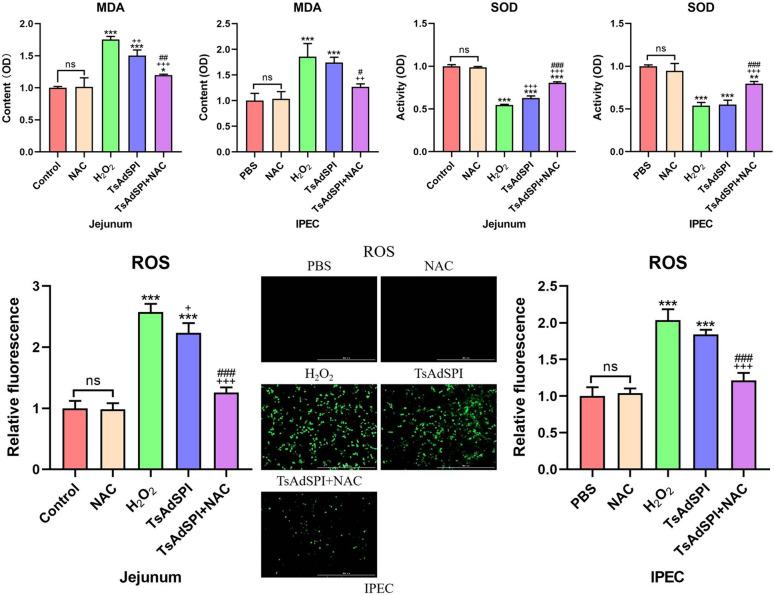 https://cdn.ncbi.nlm.nih.gov/pmc/blobs/ecac/11179199/02409d0ebb6f/13567_2024_1334_Fig4_HTML.jpg