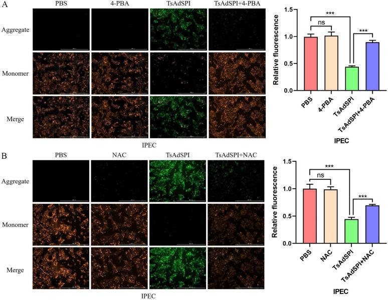 https://cdn.ncbi.nlm.nih.gov/pmc/blobs/ecac/11179199/2f2d6f130e14/13567_2024_1334_Fig13_HTML.jpg