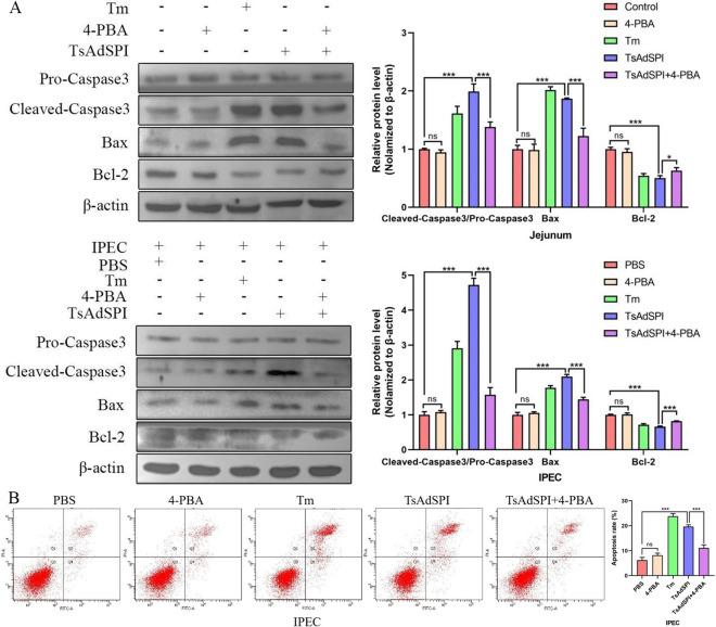 https://cdn.ncbi.nlm.nih.gov/pmc/blobs/ecac/11179199/6ddcbe614c51/13567_2024_1334_Fig11_HTML.jpg