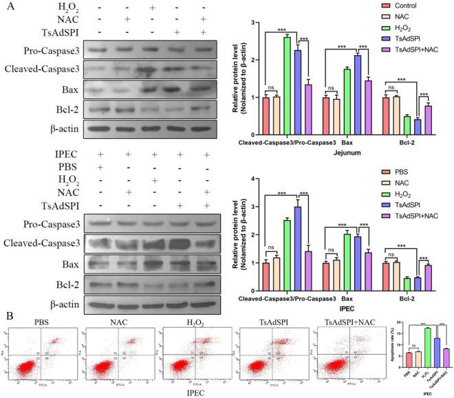 https://cdn.ncbi.nlm.nih.gov/pmc/blobs/ecac/11179199/b5a85c9c1ddc/13567_2024_1334_Fig12_HTML.jpg