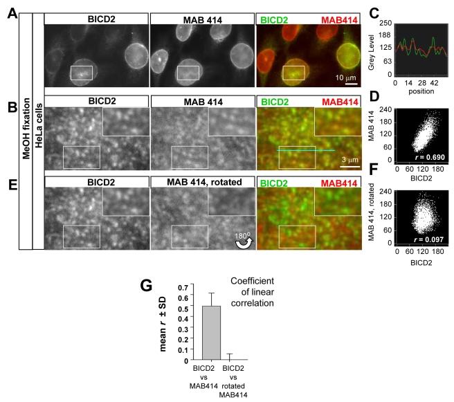 https://cdn.ncbi.nlm.nih.gov/pmc/blobs/ecac/2850381/812cc35dc801/pbio.1000350.g003.jpg