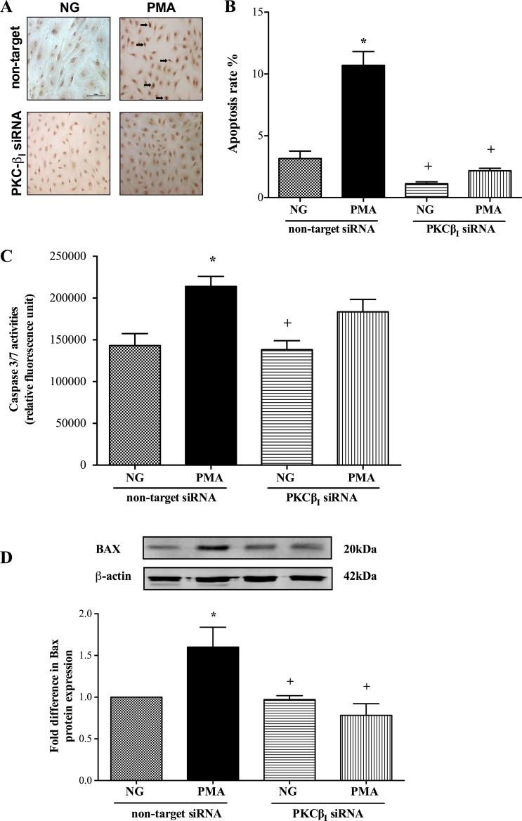 https://cdn.ncbi.nlm.nih.gov/pmc/blobs/ecac/4052534/410c52fea759/gr6.jpg