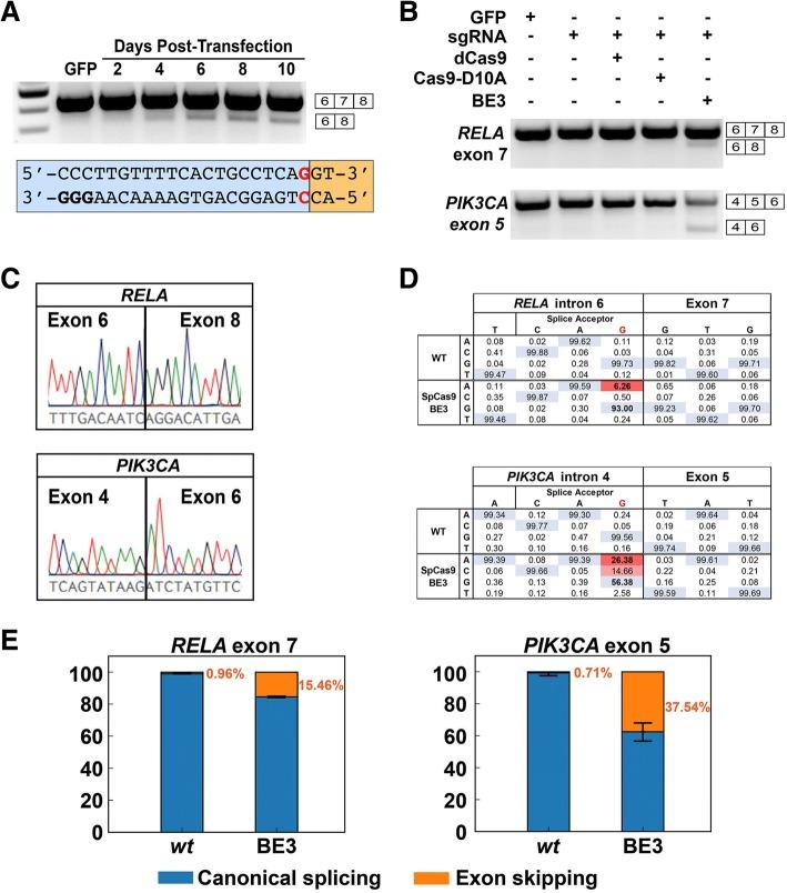 https://cdn.ncbi.nlm.nih.gov/pmc/blobs/ecaf/6092781/4594d4fa5e7e/13059_2018_1482_Fig2_HTML.jpg