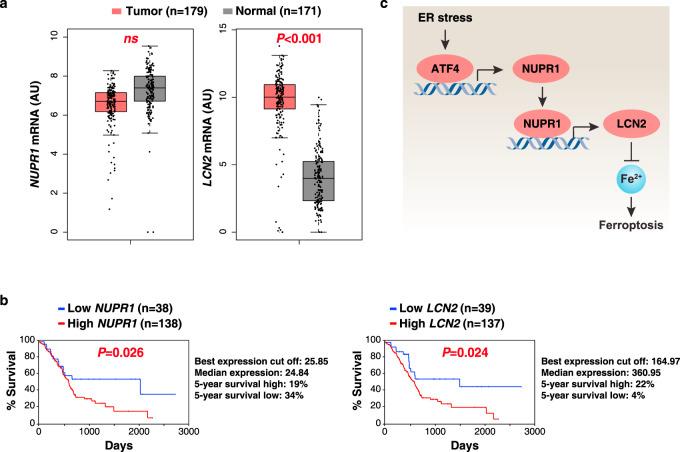 https://cdn.ncbi.nlm.nih.gov/pmc/blobs/ecb0/7843652/bbfe4556aff1/41467_2021_20904_Fig7_HTML.jpg