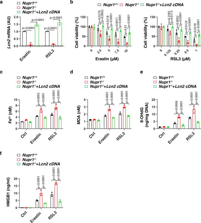 https://cdn.ncbi.nlm.nih.gov/pmc/blobs/ecb0/7843652/dcdd9af49809/41467_2021_20904_Fig4_HTML.jpg