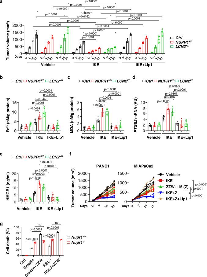 https://cdn.ncbi.nlm.nih.gov/pmc/blobs/ecb0/7843652/f4b17686332e/41467_2021_20904_Fig5_HTML.jpg