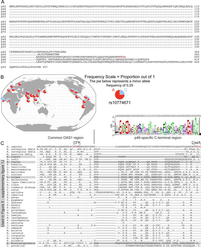 https://cdn.ncbi.nlm.nih.gov/pmc/blobs/ecb0/8357416/4ed9b73bf17f/elife-71047-fig1-figsupp1.jpg
