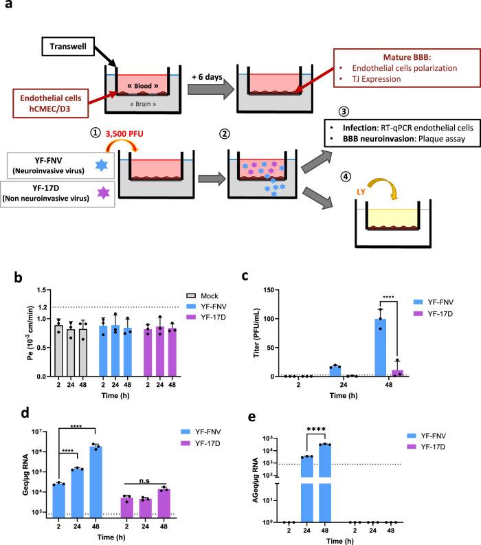 https://cdn.ncbi.nlm.nih.gov/pmc/blobs/ecb1/8076279/20a7761f5894/41541_2021_318_Fig1_HTML.jpg
