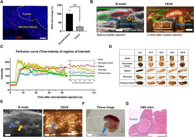 https://cdn.ncbi.nlm.nih.gov/pmc/blobs/ecb2/11148017/23a6c2e34676/41598_2024_54432_Fig1_HTML.jpg