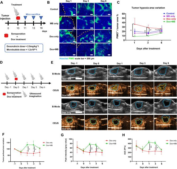 https://cdn.ncbi.nlm.nih.gov/pmc/blobs/ecb2/11148017/49897d5b60e5/41598_2024_54432_Fig4_HTML.jpg