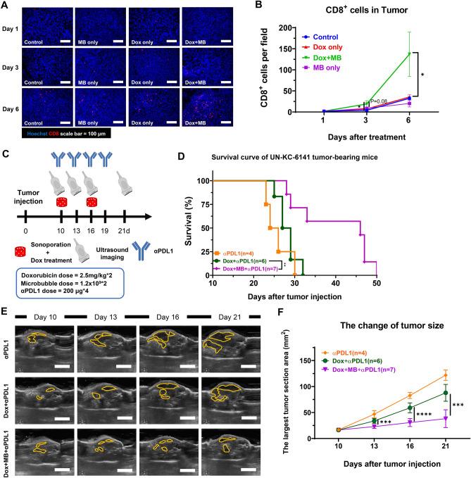 https://cdn.ncbi.nlm.nih.gov/pmc/blobs/ecb2/11148017/8544dbeae57f/41598_2024_54432_Fig5_HTML.jpg