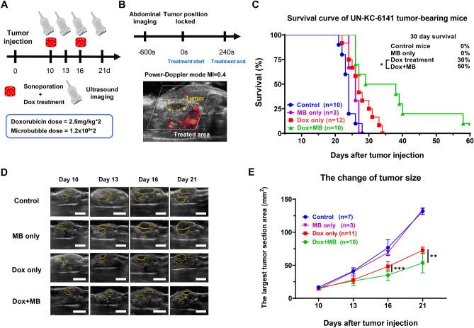https://cdn.ncbi.nlm.nih.gov/pmc/blobs/ecb2/11148017/c1d12a08691e/41598_2024_54432_Fig2_HTML.jpg