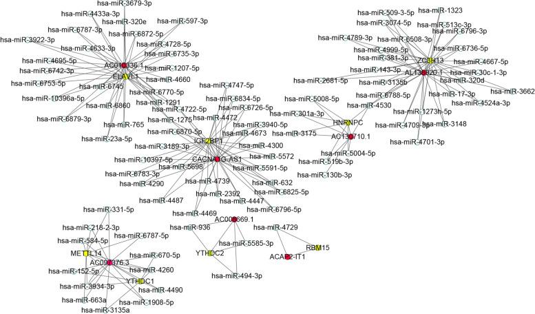 https://cdn.ncbi.nlm.nih.gov/pmc/blobs/ecb2/9178823/6e7560d56f53/12885_2022_9591_Fig7_HTML.jpg
