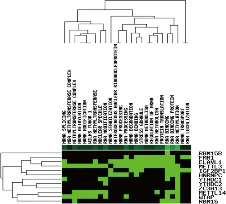 https://cdn.ncbi.nlm.nih.gov/pmc/blobs/ecb2/9178823/a0ded92ca8ee/12885_2022_9591_Fig2_HTML.jpg