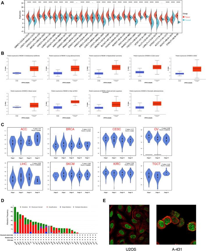 https://cdn.ncbi.nlm.nih.gov/pmc/blobs/ecb3/11063780/36b0722b9eec/fphar-15-1390615-g001.jpg