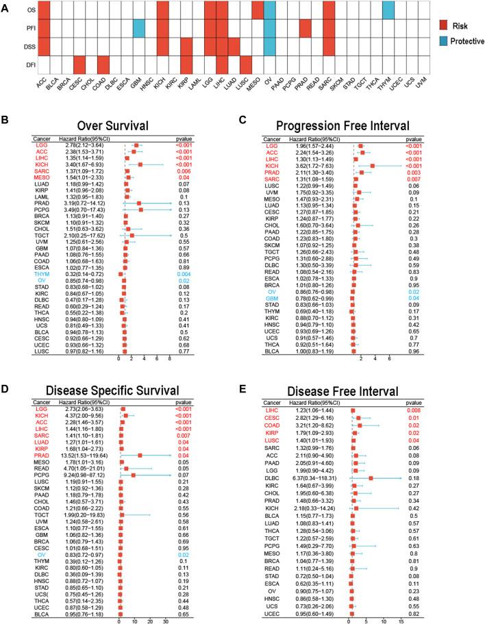https://cdn.ncbi.nlm.nih.gov/pmc/blobs/ecb3/11063780/7079a747d35e/fphar-15-1390615-g002.jpg
