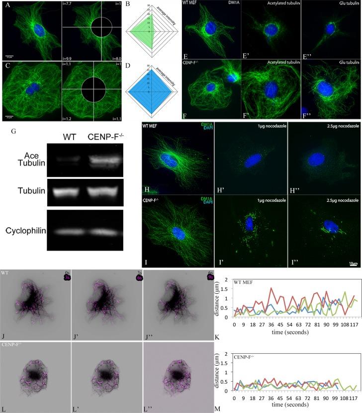 https://cdn.ncbi.nlm.nih.gov/pmc/blobs/ecb4/4927273/5ddb51848c84/1990fig4.jpg