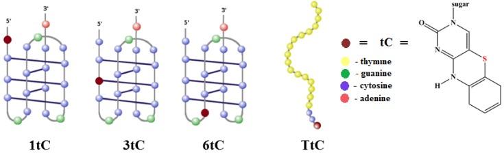 https://cdn.ncbi.nlm.nih.gov/pmc/blobs/ecb4/6332284/e60449592e1c/molecules-20-18511-g001.jpg
