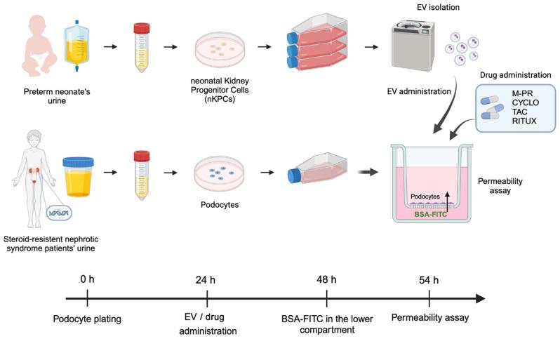 https://cdn.ncbi.nlm.nih.gov/pmc/blobs/ecb6/11323595/9a9cffd5a22d/12967_2024_5575_Fig4_HTML.jpg