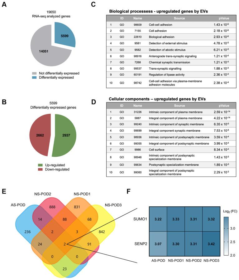 https://cdn.ncbi.nlm.nih.gov/pmc/blobs/ecb6/11323595/a91767148700/12967_2024_5575_Fig6_HTML.jpg