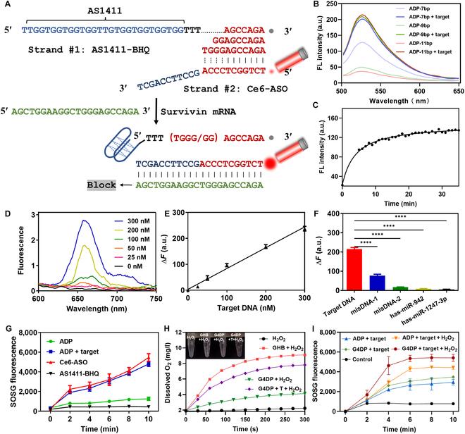 https://cdn.ncbi.nlm.nih.gov/pmc/blobs/ecb7/10807844/a7070a199e50/research.0295.fig.002.jpg