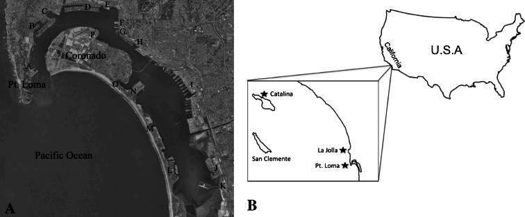 https://cdn.ncbi.nlm.nih.gov/pmc/blobs/ecb7/4460293/4d22b65b460e/10646_2015_1460_Fig1_HTML.jpg