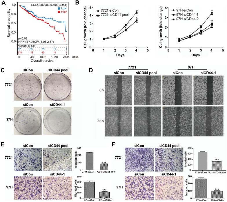 https://cdn.ncbi.nlm.nih.gov/pmc/blobs/ecb9/8603576/1111772f07ed/40164_2021_247_Fig1_HTML.jpg