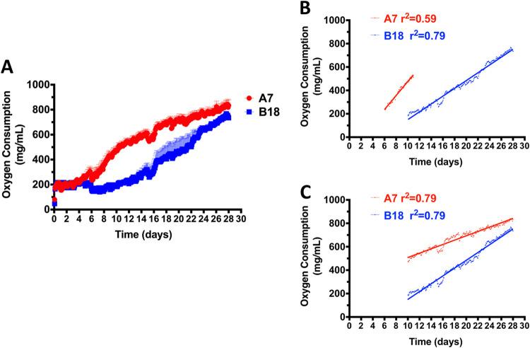 https://cdn.ncbi.nlm.nih.gov/pmc/blobs/ecbb/7657597/3c431f7472f1/mSystems.00824-20-f0003.jpg