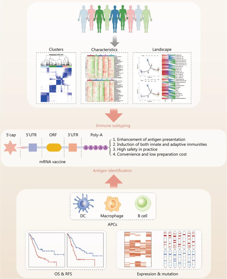 https://cdn.ncbi.nlm.nih.gov/pmc/blobs/ecbb/9558389/4c3e7abbe2a2/40779_2022_416_Fig2_HTML.jpg
