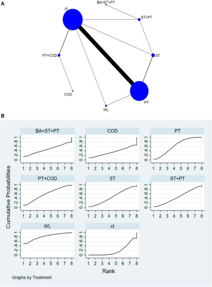 https://cdn.ncbi.nlm.nih.gov/pmc/blobs/ecbc/10870238/296d66248631/fphys-15-1302610-g005.jpg