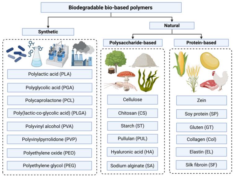 https://cdn.ncbi.nlm.nih.gov/pmc/blobs/ecbc/12251855/9eded415a033/polymers-17-01725-g002.jpg