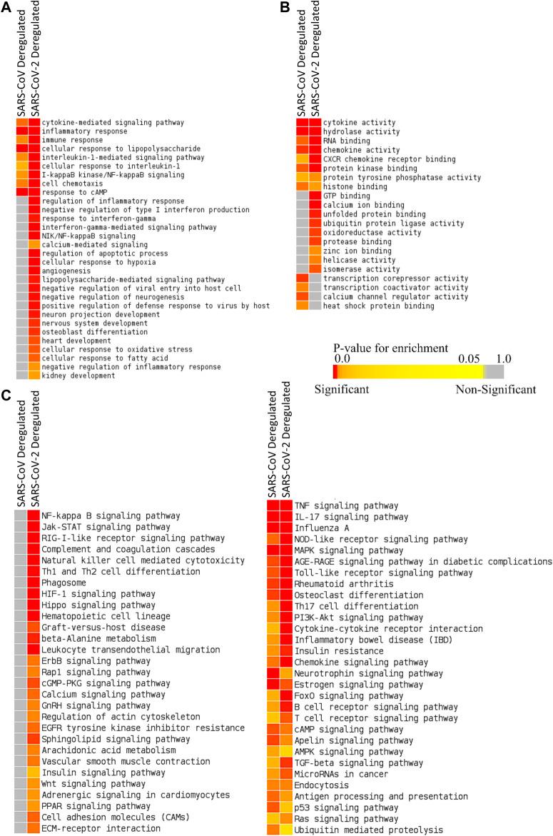 https://cdn.ncbi.nlm.nih.gov/pmc/blobs/ecbd/7872968/090612d84257/fmolb-07-598583-g002.jpg