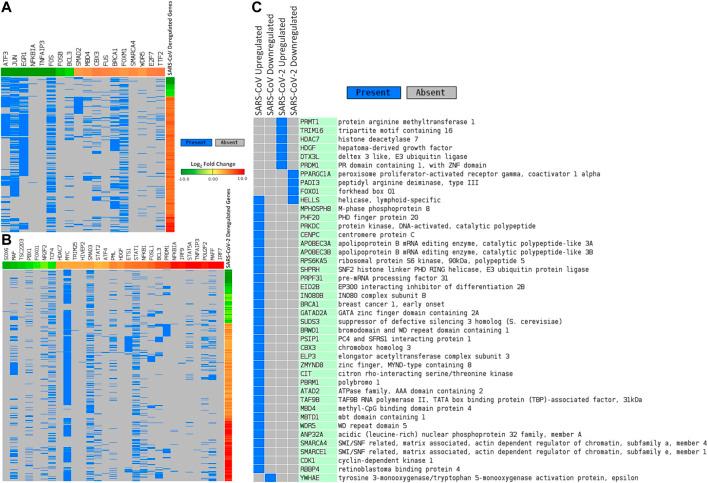 https://cdn.ncbi.nlm.nih.gov/pmc/blobs/ecbd/7872968/e8109a0ab14b/fmolb-07-598583-g004.jpg