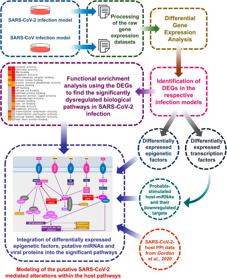 https://cdn.ncbi.nlm.nih.gov/pmc/blobs/ecbd/7872968/f51d3ae18b02/fmolb-07-598583-g001.jpg
