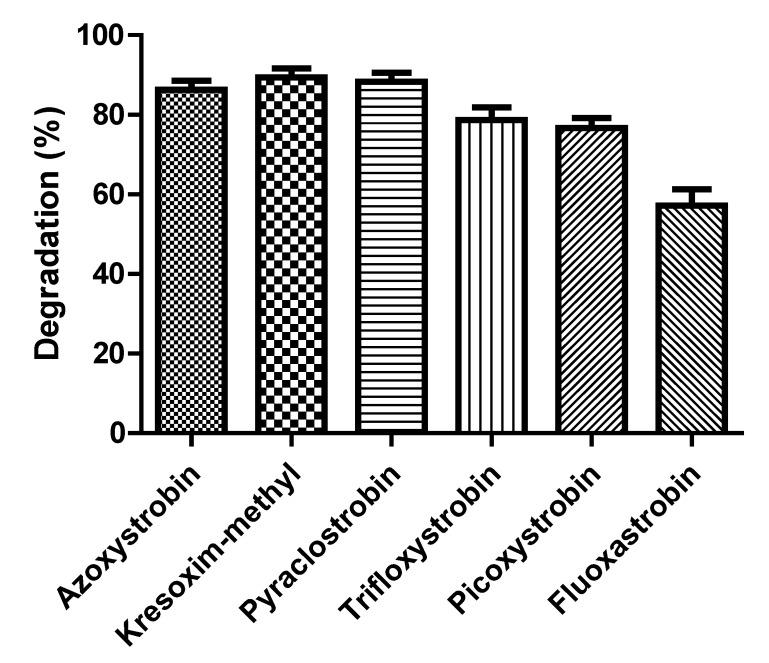 https://cdn.ncbi.nlm.nih.gov/pmc/blobs/ecc1/7284741/6980298d039c/microorganisms-08-00625-g007.jpg