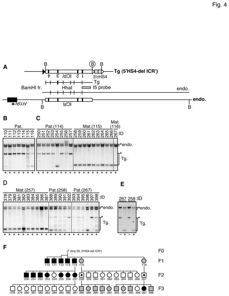 https://cdn.ncbi.nlm.nih.gov/pmc/blobs/ecc2/3762768/170fcff1c18d/pone.0073925.g004.jpg