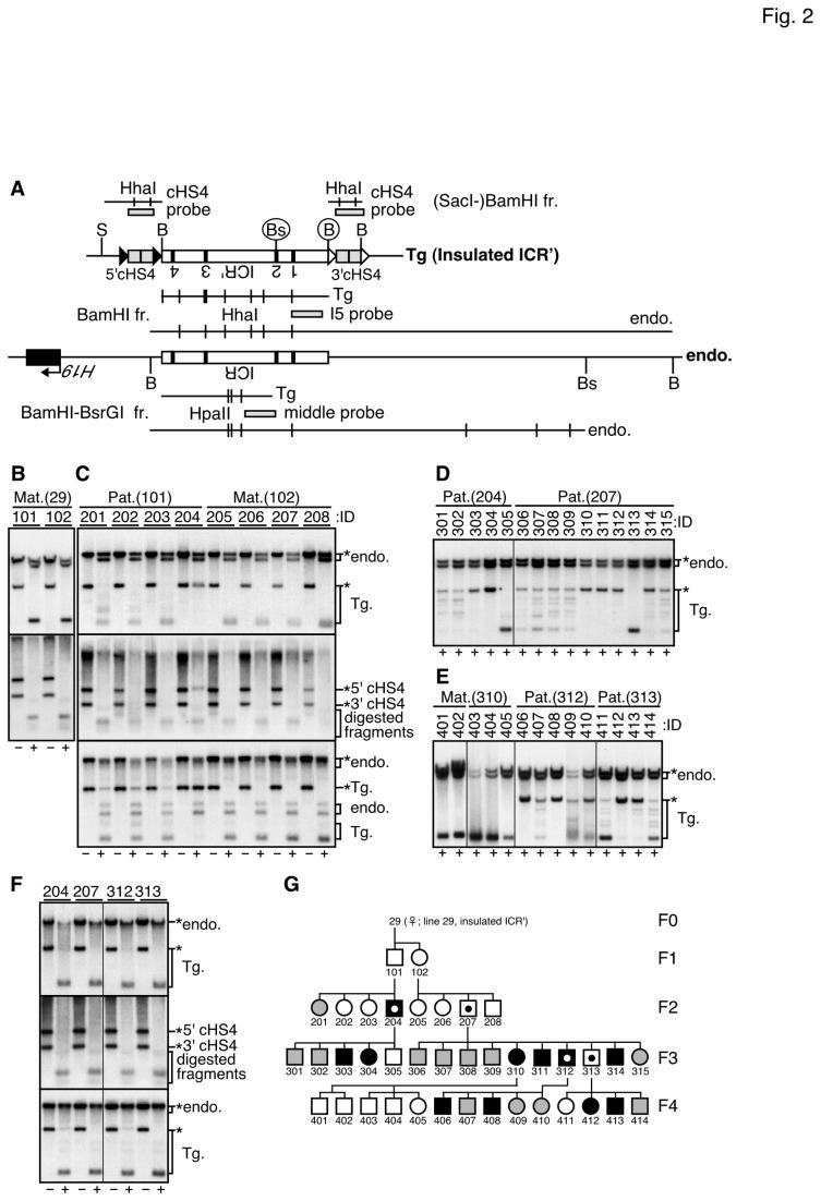 https://cdn.ncbi.nlm.nih.gov/pmc/blobs/ecc2/3762768/4c8d3525b87e/pone.0073925.g002.jpg