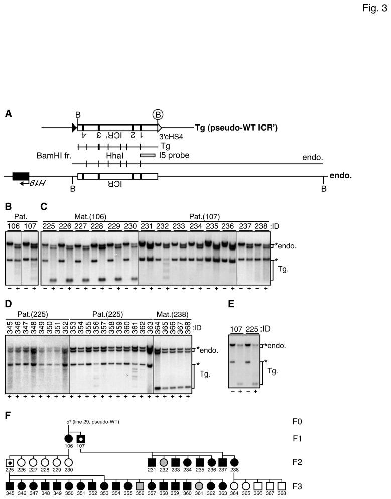 https://cdn.ncbi.nlm.nih.gov/pmc/blobs/ecc2/3762768/db219e0ae429/pone.0073925.g003.jpg