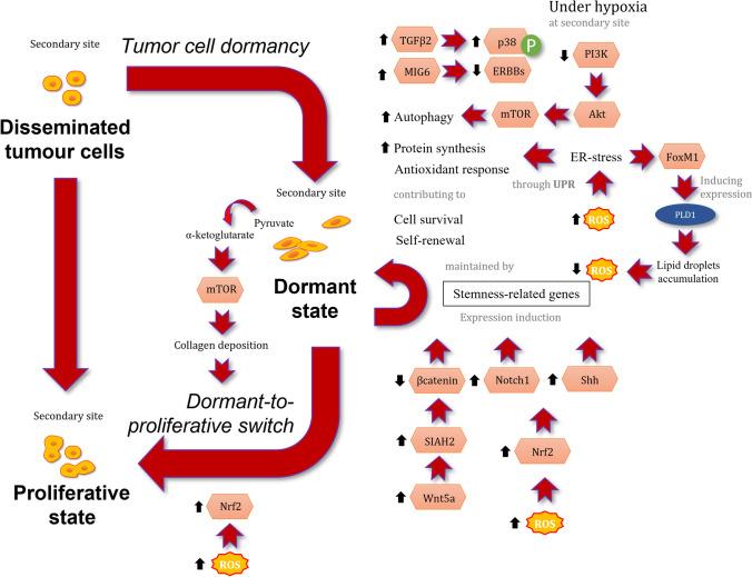 https://cdn.ncbi.nlm.nih.gov/pmc/blobs/ecc3/10014738/bd1dd2cbcd88/10555_2022_10077_Fig2_HTML.jpg