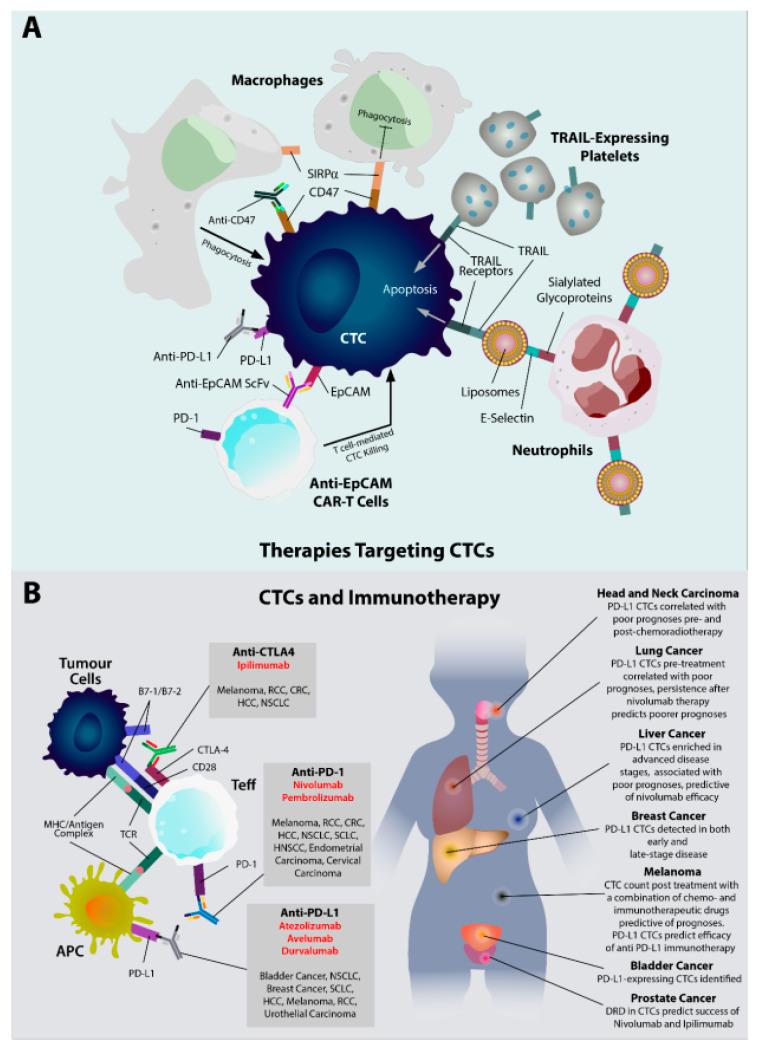 https://cdn.ncbi.nlm.nih.gov/pmc/blobs/ecc3/8878951/9cffa9b32b49/life-12-00323-g002.jpg