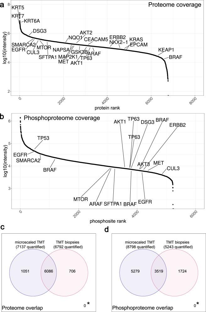 https://cdn.ncbi.nlm.nih.gov/pmc/blobs/ecc4/8196151/66cc3d853a91/41467_2021_23855_Fig5_HTML.jpg