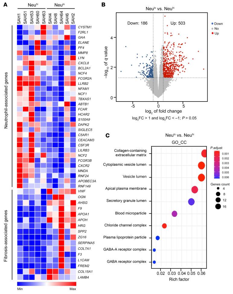 https://cdn.ncbi.nlm.nih.gov/pmc/blobs/ecc4/9282929/3351c7b94b16/jci-132-157780-g153.jpg