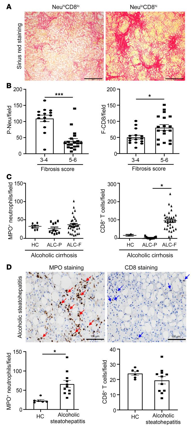 https://cdn.ncbi.nlm.nih.gov/pmc/blobs/ecc4/9282929/d102593e5d9e/jci-132-157780-g154.jpg