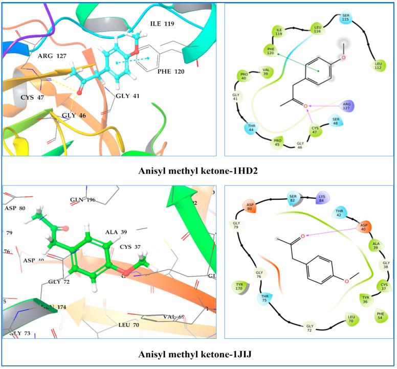 https://cdn.ncbi.nlm.nih.gov/pmc/blobs/ecc5/10707387/f093a33f1ce3/molecules-28-07691-g008.jpg