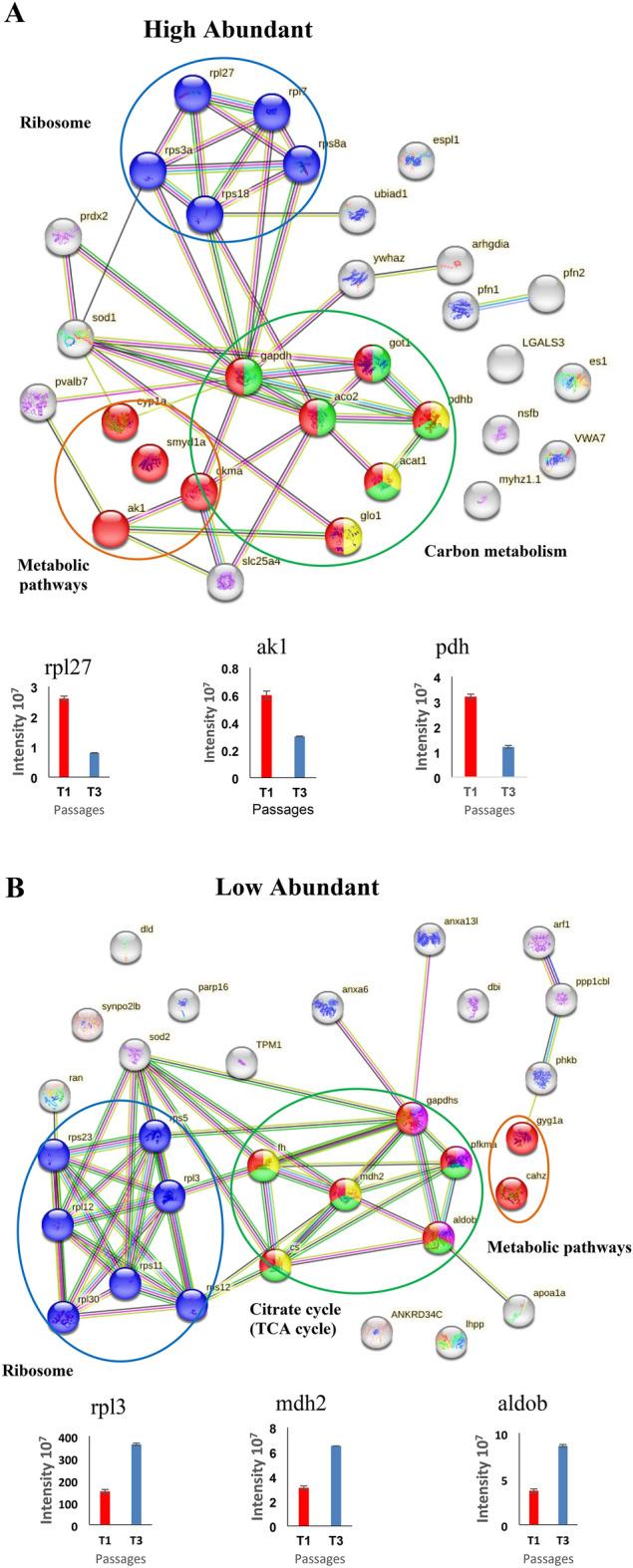 https://cdn.ncbi.nlm.nih.gov/pmc/blobs/ecc5/11836462/870a7fc9c029/41598_2025_88900_Fig8_HTML.jpg